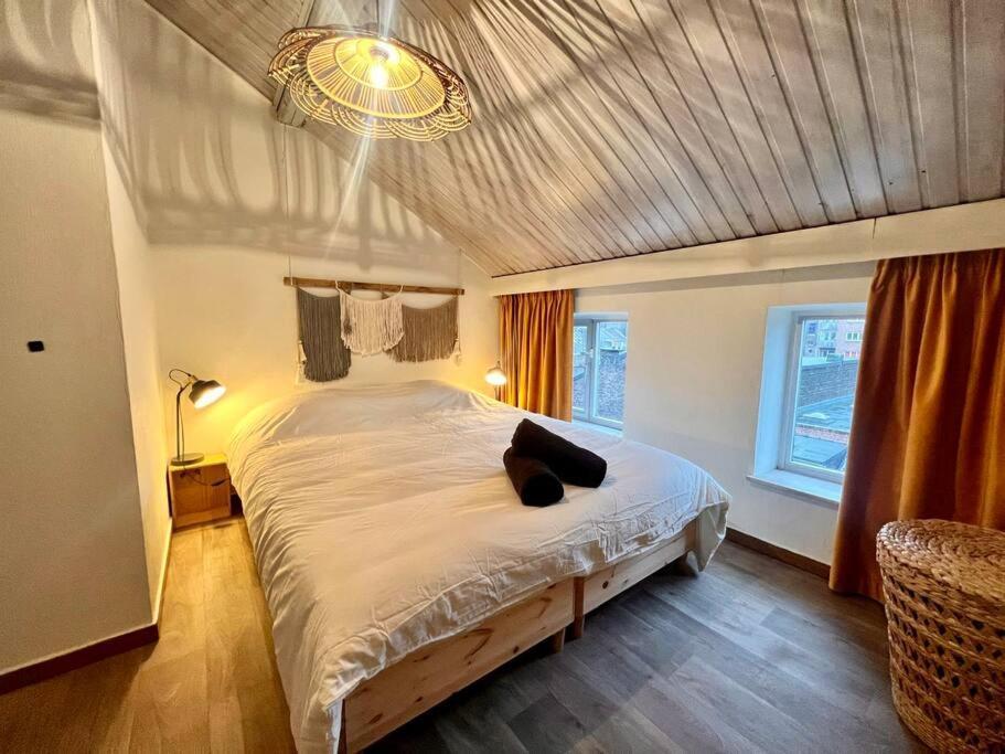 Appartement Joseph - Nid Douillet A Liège